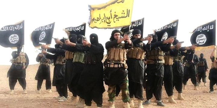 Grupo ISIS